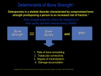 Abbildung 20: Osteoporose