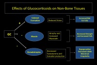 Abbildung 26: Osteoporose