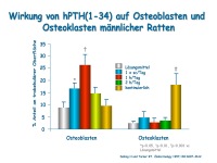 Abbildung 7: Anabole Osteoporosetherapie