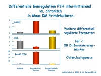 Abbildung 8: Anabole Osteoporosetherapie