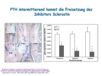 Abbildung 10: Anabole Osteoporosetherapie