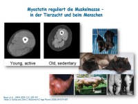 Abbildung 25: Anabole Osteoporosetherapie