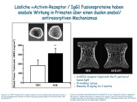 Abbildung 27: Anabole Osteoporosetherapie
