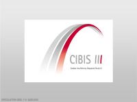 Abbildung 17: CIBIS III