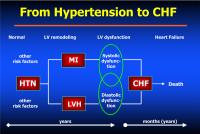 Abbildung 17: Hypertonie - CHF