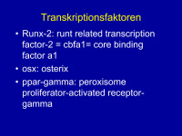Abbildung 6: Transkriptionsfaktoren