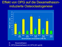 Abbildung 17: OPG