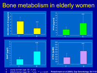 Abbildung 23: Knochenmetabolismus
