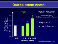 Abbildung 4: Osteoblasten