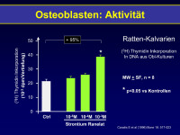 Abbildung 5: Osteoblasten