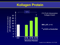 Abbildung 6: Kollagen-Protein