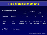 Abbildung 7: Tibia - Histomorphometrie