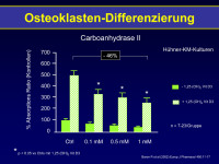Abbildung 8: Osteoklasten