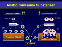 Abbildung 12: Anabol wirksame Substanzen