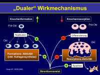Abbildung 13: Dualer Wirkmechanismus