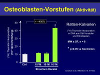 Abbildung 32: Osteoblasten