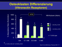 Abbildung 33: Osteoklasten