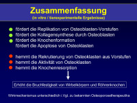 Abbildung 38: Zusammenfassung