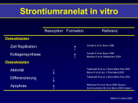 Abbildung 39: Stontiumranelat in vitro