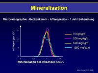 Abbildung 41: Mineralisation