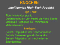 Abbildung 2: Knochen