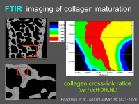 Abbildung 9: FTIR