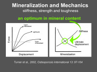 Abbildung 15: Mineralisation