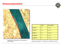 Abbildung 9: Histomorphometrie