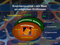 Abbildung 5: Knochenqualit�t