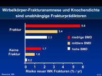 Abbildung 6: Wirbelk�rper - Fraktur