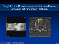Abbildung 10: Mikrostruktur