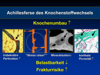 Abbildung 20: Knochenumbau