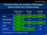 Abbildung 22: Knochenumbau