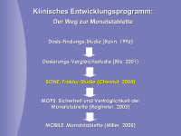 Abbildung 7: Entwicklungsprogramm