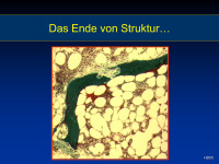 Abbildung 4: Struktur