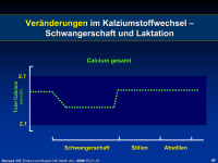 Abbildung 2: Kalziumstoffwechsel