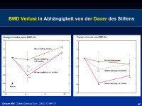 Abbildung 20: Stillperiode  - Knochen