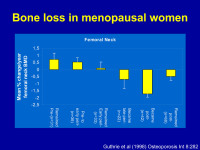 Abbildung 4: Knochenverlust - Menopause