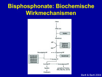 Abbildung 9: Bisphosphonat