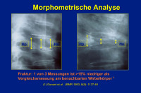 Abbildung 17: Morphometrische Analyse