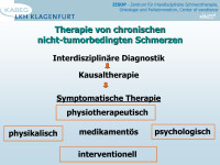 Abbildung 19: Schmerztherapie
