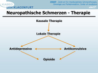 Abbildung 43: Neuropathische Schmerzen - Therapie