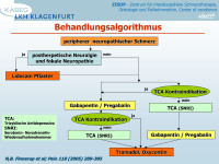 Abbildung 44: Behandlungsalgorithmus