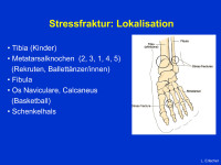 Abbildung 10: Stressfrakturen