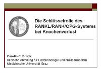 Abbildung 1: RANKL/RANK/OPG-System