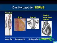 Abbildung 7: Raloxifen