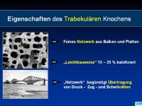 Abbildung 14: Raloxifen