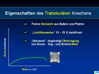 Abbildung 15: Raloxifen