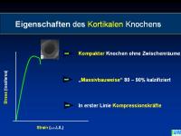 Abbildung 17: Raloxifen