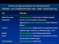 Abbildung 15: Osteoporose - Arteriosklerose